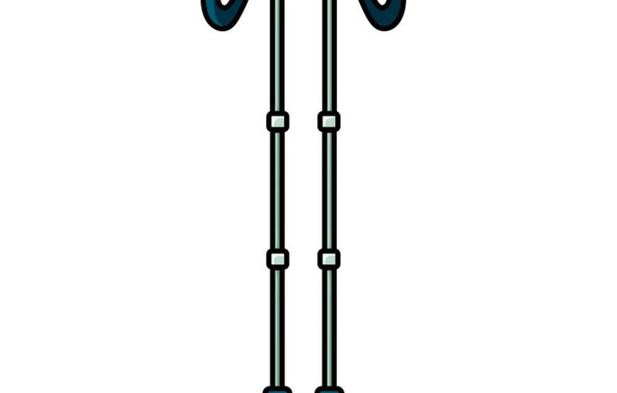 Trekking Pole