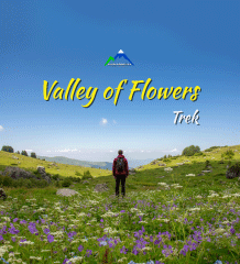 Valley of Flowers