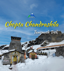 Chopta Tungnath Chandershila Trek